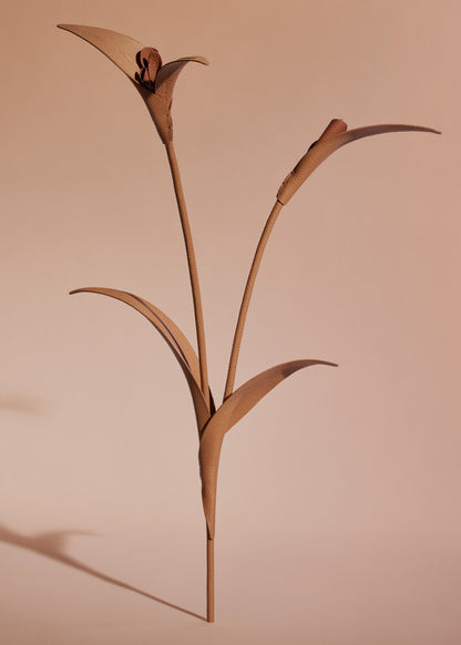 Blume Touka - Trio Tan Genarbtes Leder