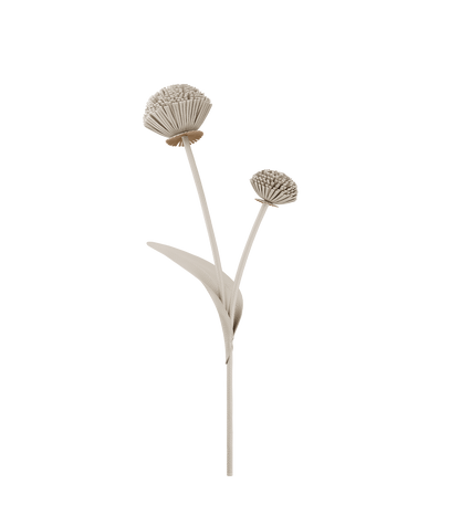 Blume Tul - Duo Kreide Genarbtes Leder
